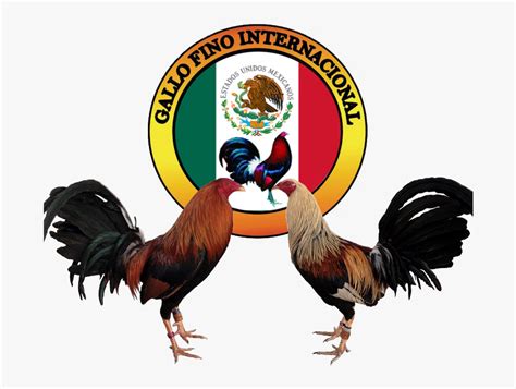 cockfight logo